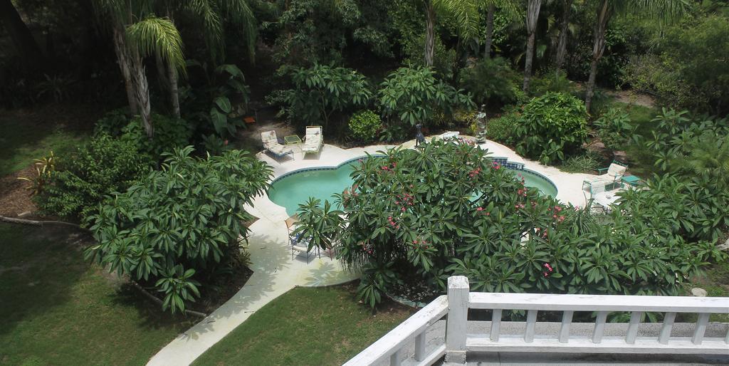 Heron Cay Lakeview Bed & Breakfast Маунт-Дора Екстер'єр фото