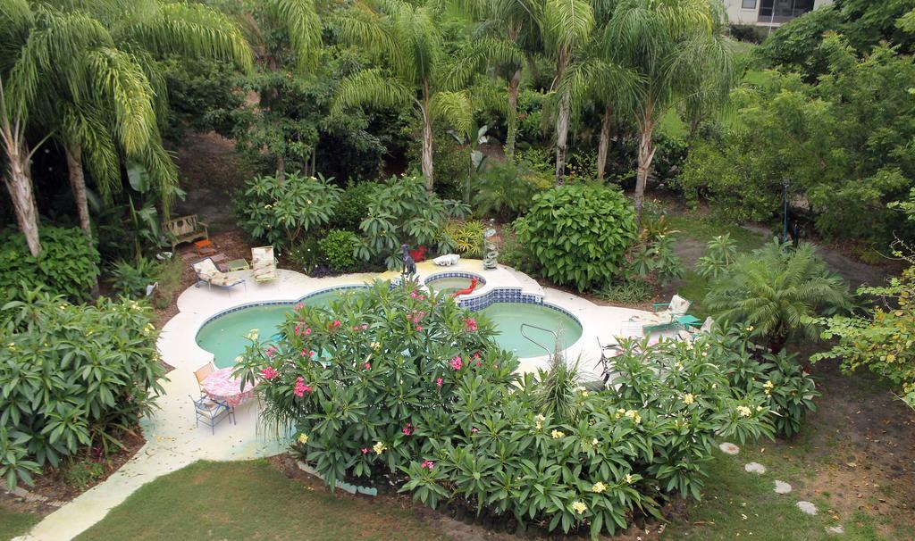 Heron Cay Lakeview Bed & Breakfast Маунт-Дора Екстер'єр фото