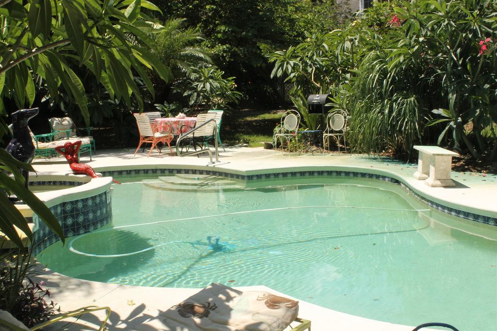 Heron Cay Lakeview Bed & Breakfast Маунт-Дора Екстер'єр фото